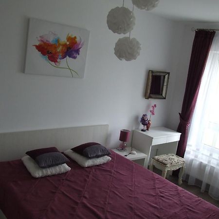 Anca Apartment Brašov Exteriér fotografie