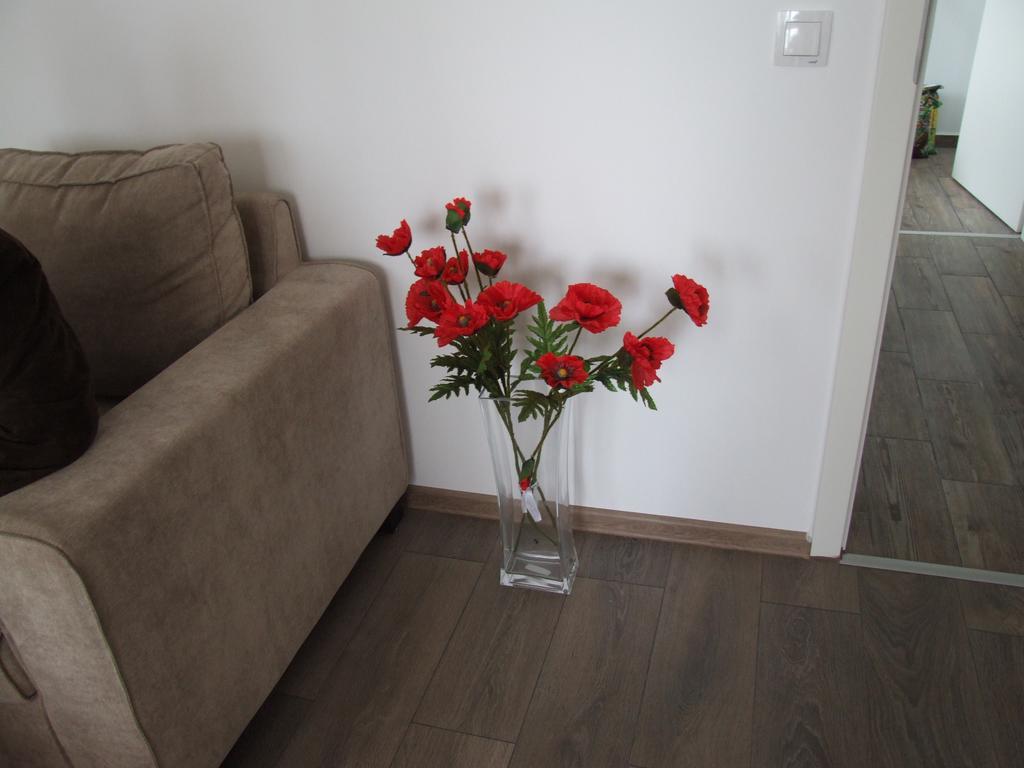 Anca Apartment Brašov Exteriér fotografie