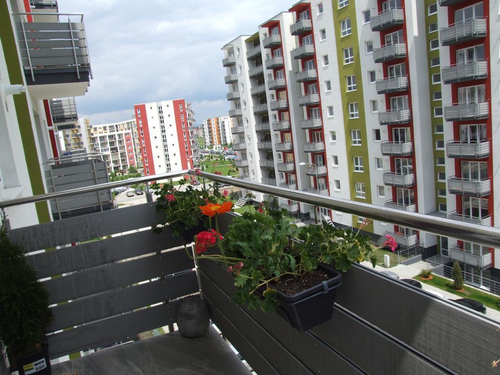 Anca Apartment Brašov Exteriér fotografie